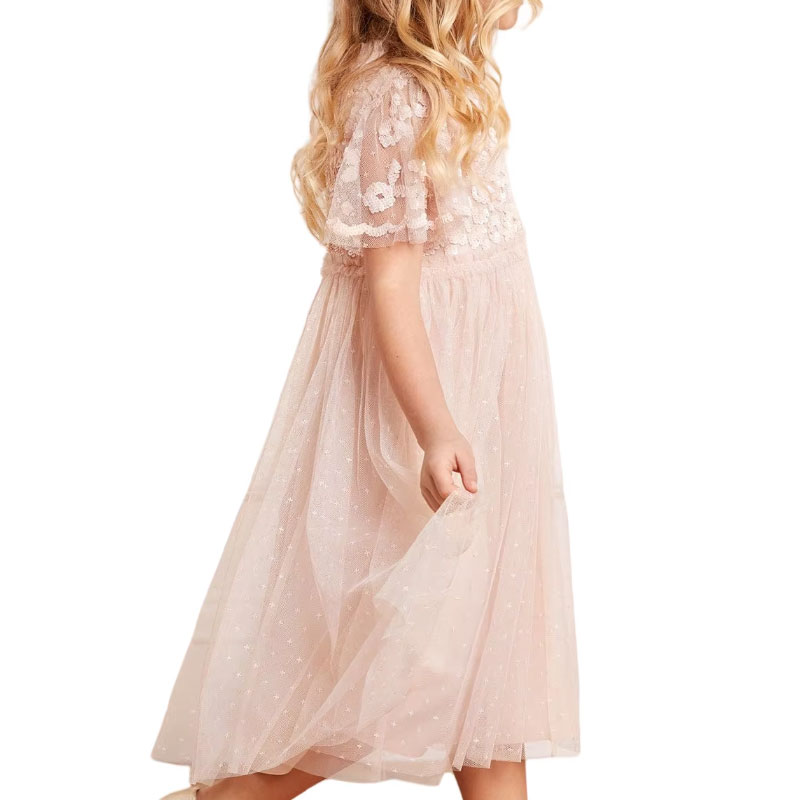 Cinderella Pink Dress