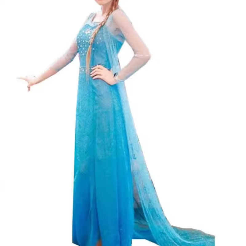 Elsa Dress To Impress For Womens
