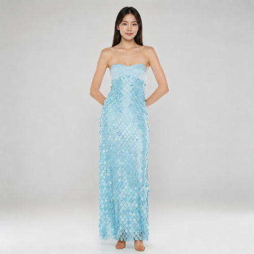 Cinderella Dress Cinderella Dress